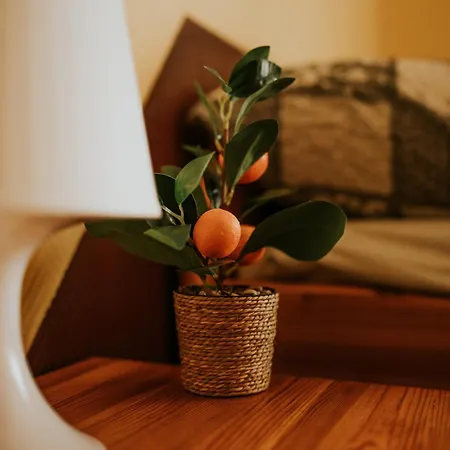 Quarto em Acomodações Particulares Murena