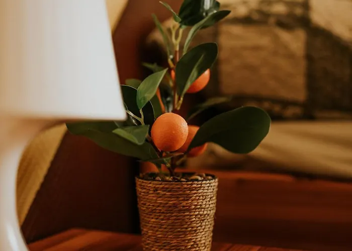 Alloggio in famiglia Murena